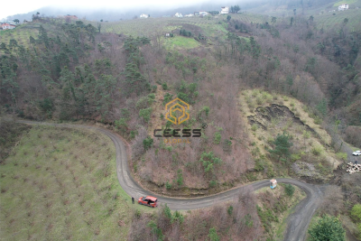 AKÇAABAT KAVAKLI'DA SATILIK 5200 M2 SATILIK ARSA