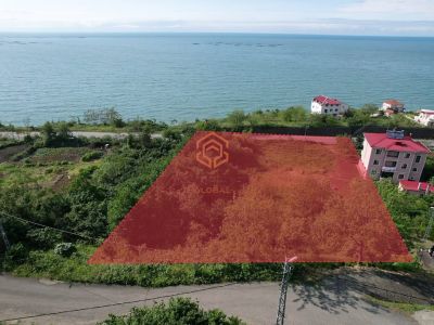 TRABZON ÇARŞIBAŞI KALEKÖY'DE DENİZE SIFIR 2275 M2 SATILIK ARSA