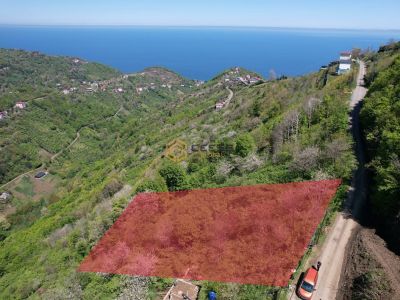 AKÇAABAT MERSİN'DE 2960 M2 DENİZ MANZARALI SATILIK ARSA